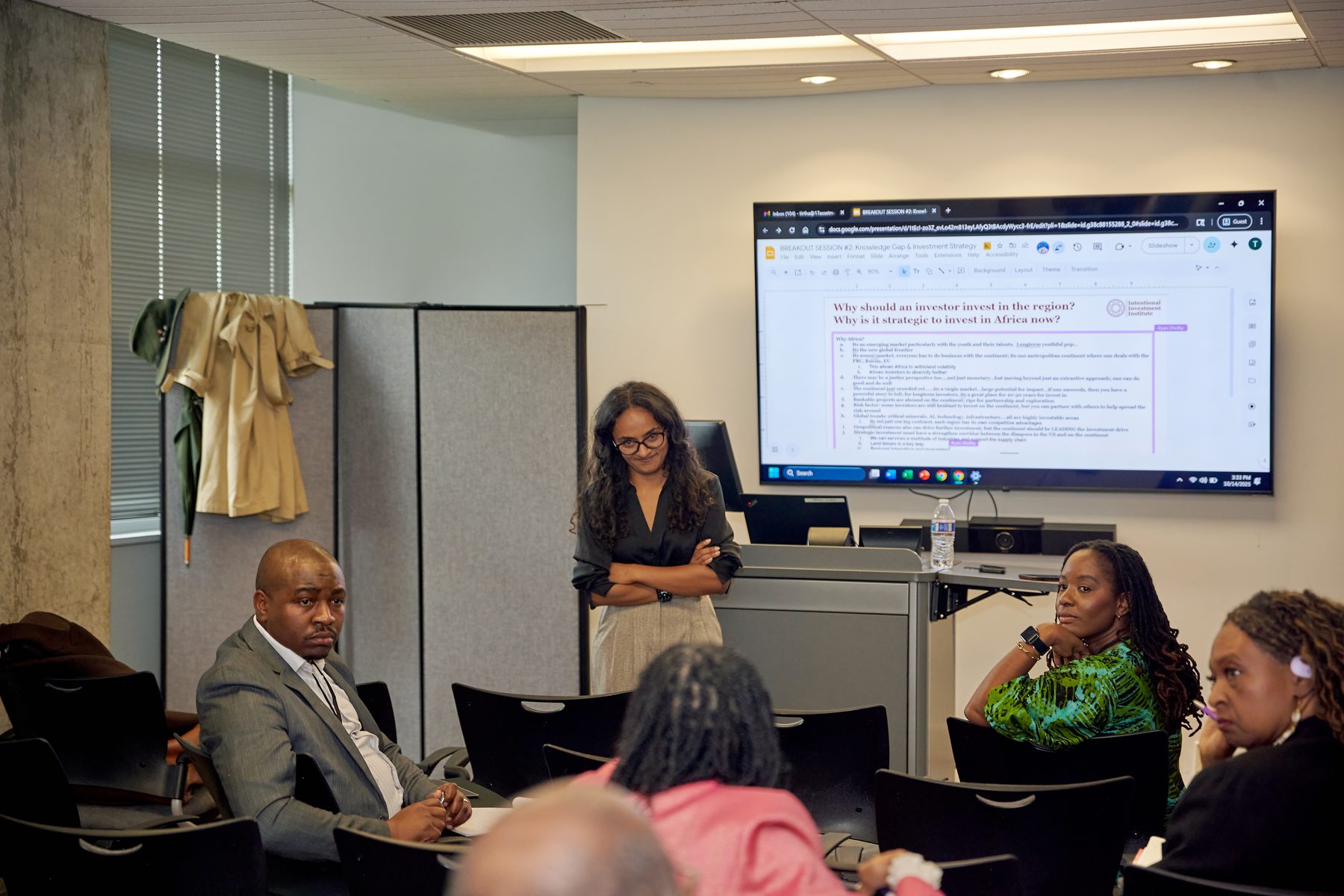 Presenter walking through the investment case for African markets